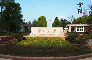 貴州大學(xué)（211、貴陽）